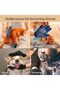 Pet Grooming Glove - Gentle Deshedding Brush Glove - Efficient Pet Hair Remover Mitt - Enhanc - 5
