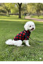 Cat - Dog Transitional - Winter Knitwear Sweater - Sweat - Coat - Vest - 2