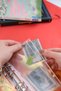 My Savings Planner - Budget Planner Wallet - Holographic - 4
