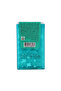 Mint, Spearmint Pack- 18g 3 - 3