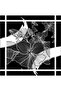 Modern Floral Pattern Black Soft Bandana Scarf 50X50 cm - 2
