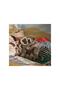 Soft Toy, Grey, 32 Cm, Vervet Monkey and Baby - 3