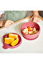 Vacuum Base Silicone Bowl with Lid - Velvet Rose - 5