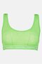 Women Band Logo Non Padded Bralette, Green - 2