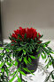 Artificial Hanging Flower Yali Pot Inside Huajia Hanging Plant with Roses - 3