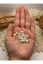 100 Pieces Shaped Trapezoid Plastic Pearlescent Pearl 25 Grams - 2