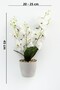 Artificial Cobalt Ida 5-Branch Wet Orchid Bunch 45 cm White - 3