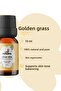 زيت عطري نقي 100% سعة 10 مل للعلاج بالروائح - 3