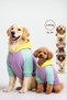 Dog Outfit, Dog Sweatshirt, Positive Vibes Small Breed Dog Dress - 2