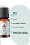 زيت النعناع العطري النقي 100% سعة 10 مل للعلاج بالروائح - 3