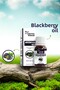 Blackberry Oil - Elegant and Useful