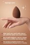 Makeup Sponge Foundation Non-Suction Sponge Coffee Cup Hygienic Walnut 1 Pro 1 Mini - 5