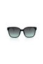 Sunglasses Uss 0363 C2