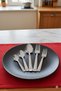 Gündoğdu 60 Piece Steel Spoon and Fork Set 18/10 Steel (Large Family Set)