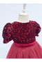 Burgundy Velvet Sequined Girl's Evening Dress - 4