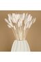 Natural Dried Cotton Grass, Rabbit Tail Bridal Bouquet Arrangement Flower Lagurus 60 Branches