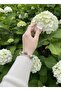 Amazonite Stone - Pink Quartz - Moon Stone Natural Stone Bracelet, Genuine Natural Stone, Bracelet - 2