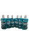 COOL MİNT 500 ML 6 ADET