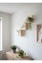 Decorative Natural Wood Wall Shelf with Ladder Design