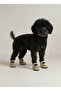 New Season Dog Paw Protective Shoes - Leopard Patterned, Waterproof, Non-Slip Sole, 4 Pieces