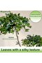 5ft Artificial Black Olive Tree with 959 Lifelike Leaves and Planter - 5
