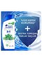Menthol Freshness Anti-Dandruff Shampoo 300ml X 2 Pieces - 2