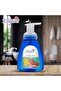 Elegant Gentle Foaming Hand Wash – Strawberry Lemon – 250 ML – TWIN Pack (PACK OF 2) - 2