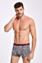 Modal Men's Shawl Patterned 3 Pieces Boxer Thc04Lv16Lk - 2