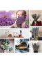 Dried Lavender Bundles, Natural Dried Lavender Flowers 280-300 Stems, 16", 2 Bundles - 3