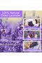 Dried Lavender Bundles, Natural Dried Lavender Flowers 280-300 Stems, 16", 2 Bundles - 2