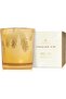 Frasier Fir Gilded Poured Candle (13 oz)
