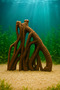 Aquarium Decoration ꩜ Branch, Root ꩜ Bell Jar, Small Aquarium and Large Aquarium Suitable Mdizmir Petshop
