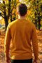 Pulover bărbătesc casual - 2