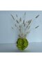 Modern Ceramic Wavy Vase with Dried Bunny Tail Stems - 5