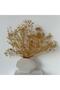 Dried Gypsophila Arrangement in Modern Textured Ceramic Vase – Minimalist Home & Office Decor - 4