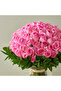 101 Pink Roses In Glass Vase - 3