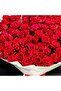 Fuchsia Gerebra Tray Arrangement - 2