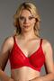 Women's Shaping / Sculpting Underwire Red Bra - Lace Embroidered C1T0N3253