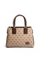 Dark Beige - Brown Monogram Women's Handbag Sp1000