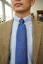 Elegance Blue Micro Patterned Silk Tie