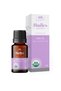 Nioli Essential Oil 10 ml 100% Pure and Natural (Niaouli Essential Oil) - 2