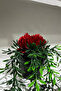 Artificial Hanging Flower Yali Pot Inside Huajia Hanging Plant with Roses - 4