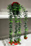 Artificial Hanging Flower Yali Pot Inside Huajia Hanging Plant with Roses - 6