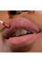 Lip Divine Liquid Lipstick (024, Truth) - 3