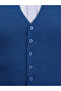 Men's Buttoned Sports / Regular Knitwear Knitted Sleeveless Blue Vest - 4241Ls - 4