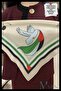 Palestine Themed Peace and Freedom Scarf |   Olive Branch and Dove |   3-Sided Design, Chiffon | Unisex