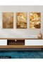 Gold Flowers and Leaves 3 Piece Wooden Framed Painting Act - 2
