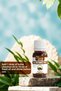 Horse Chestnut Oil - 3