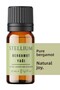 Bergamot 10 ml Essential Oil - Pure, Natural and Censer Fragrance