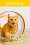110 cm Outdoor Spiral Cat Play Tunnel - Quick to Set up and Easy to Clean - 2